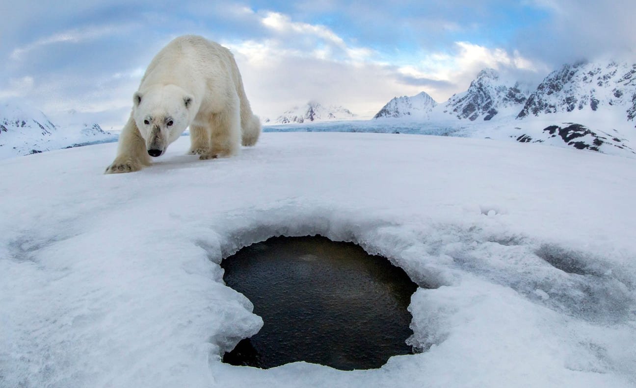 Reddet «isbjørn-selfier» fra 140 meters dyp