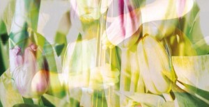 Vinterfestspill_1