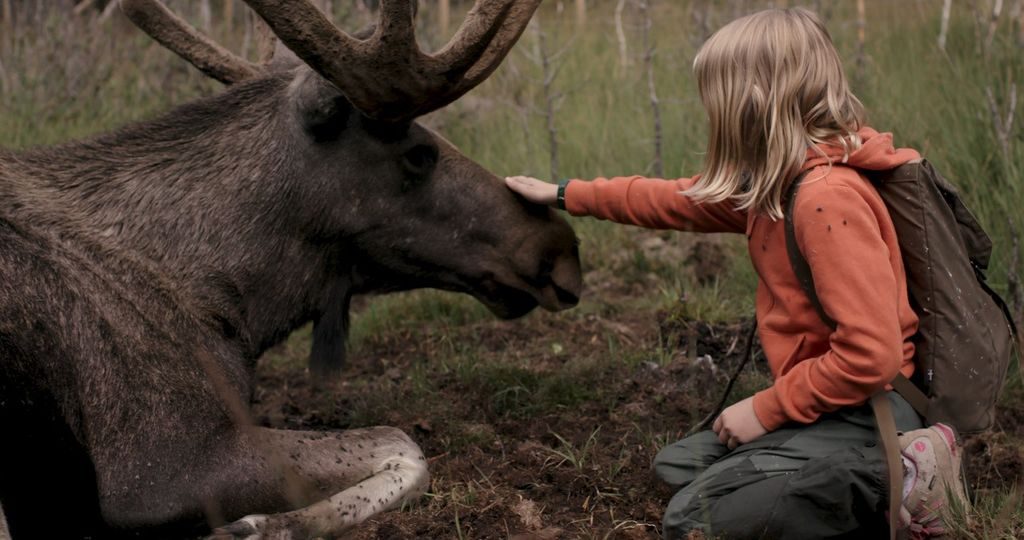 En jente med ryggsekk klapper på mulen til en elg