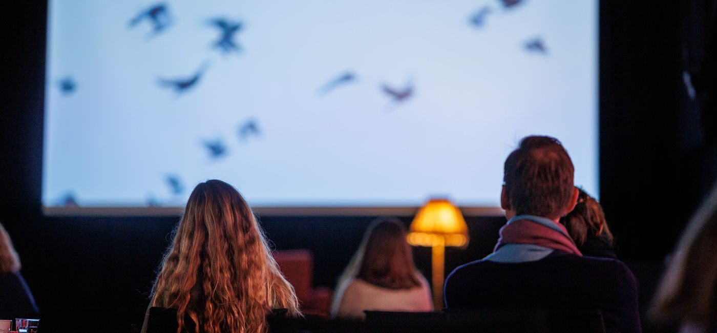 Et publikum sitter med ryggen til foran en kinoskjerm med bilder av fugler på