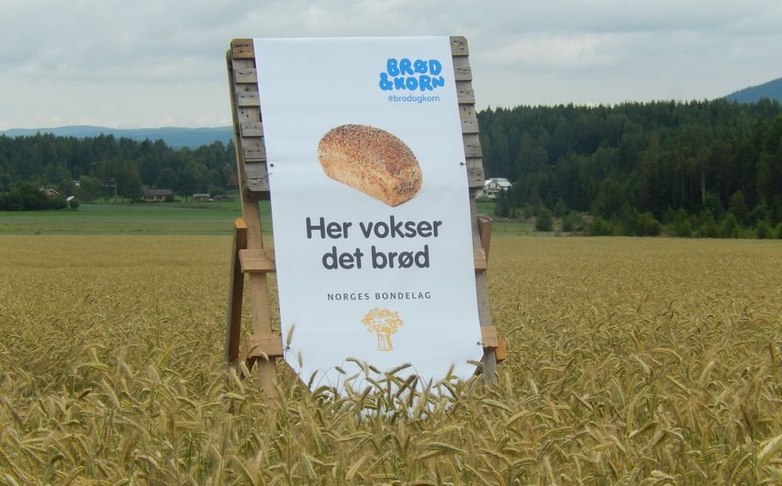 #hervokserdetbrød