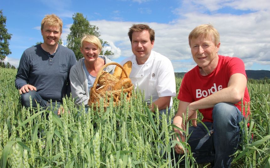 Her vokser det brød