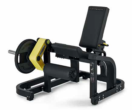 LEG EXTENSION