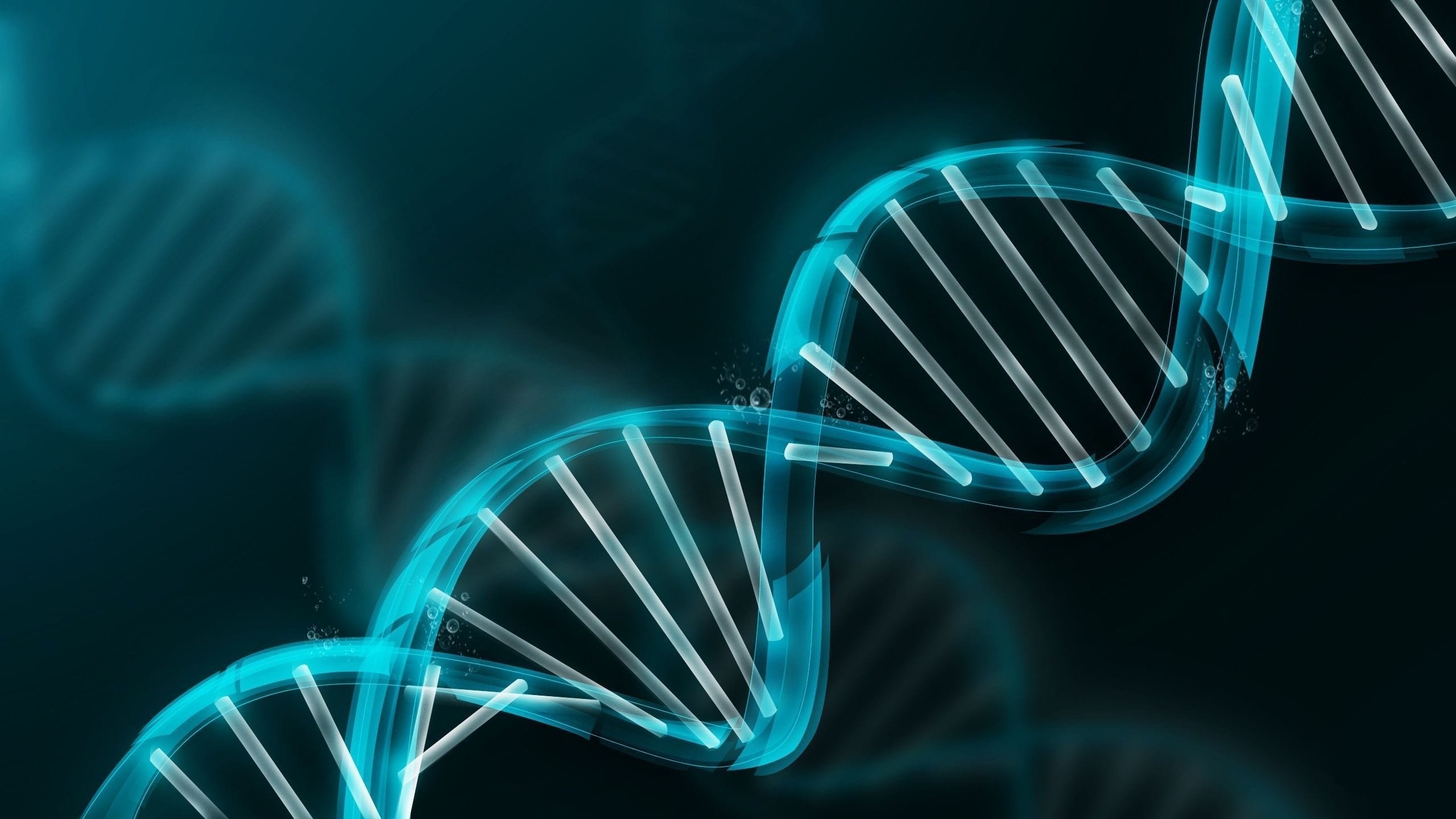 Kvalitetsstyring ligger i vårt DNA