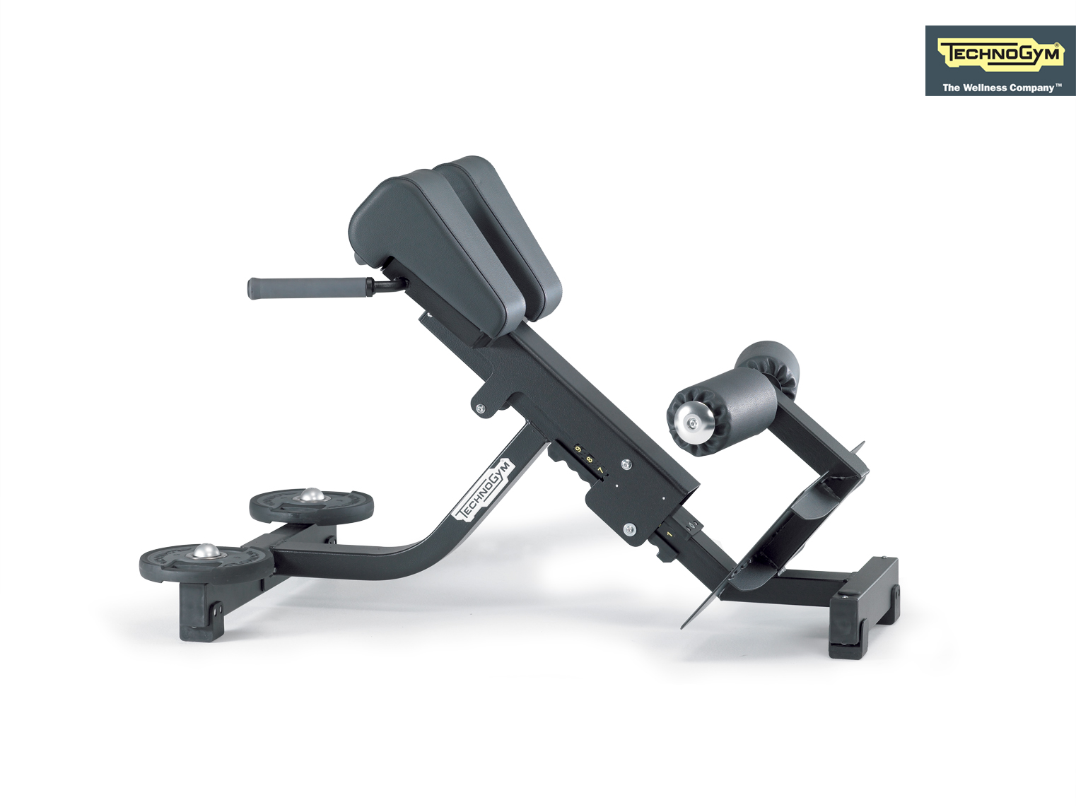 Lower Back Bench
