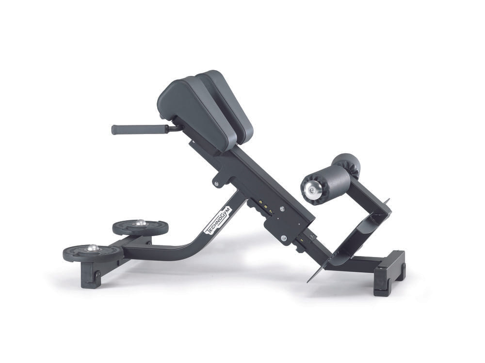 Lower Back Bench
