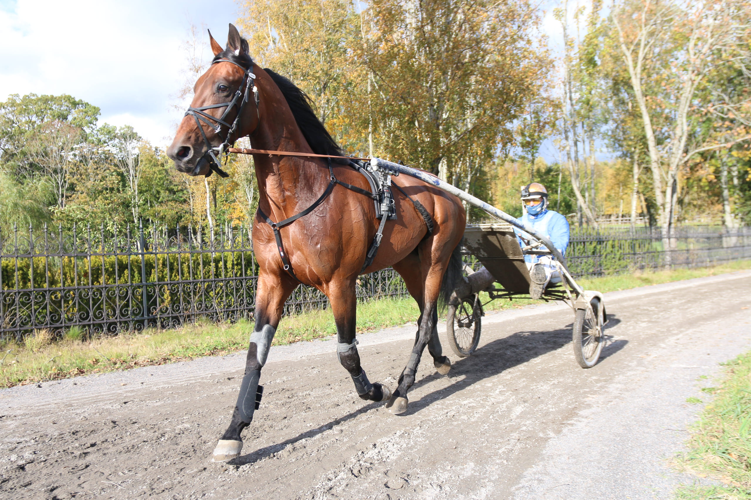 Hamre Intervju Med Hamre Tgn