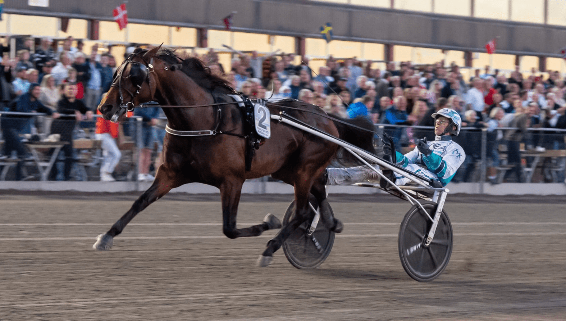 Dette er prisen for å bedekke med Francesco Zet – comeback for ...