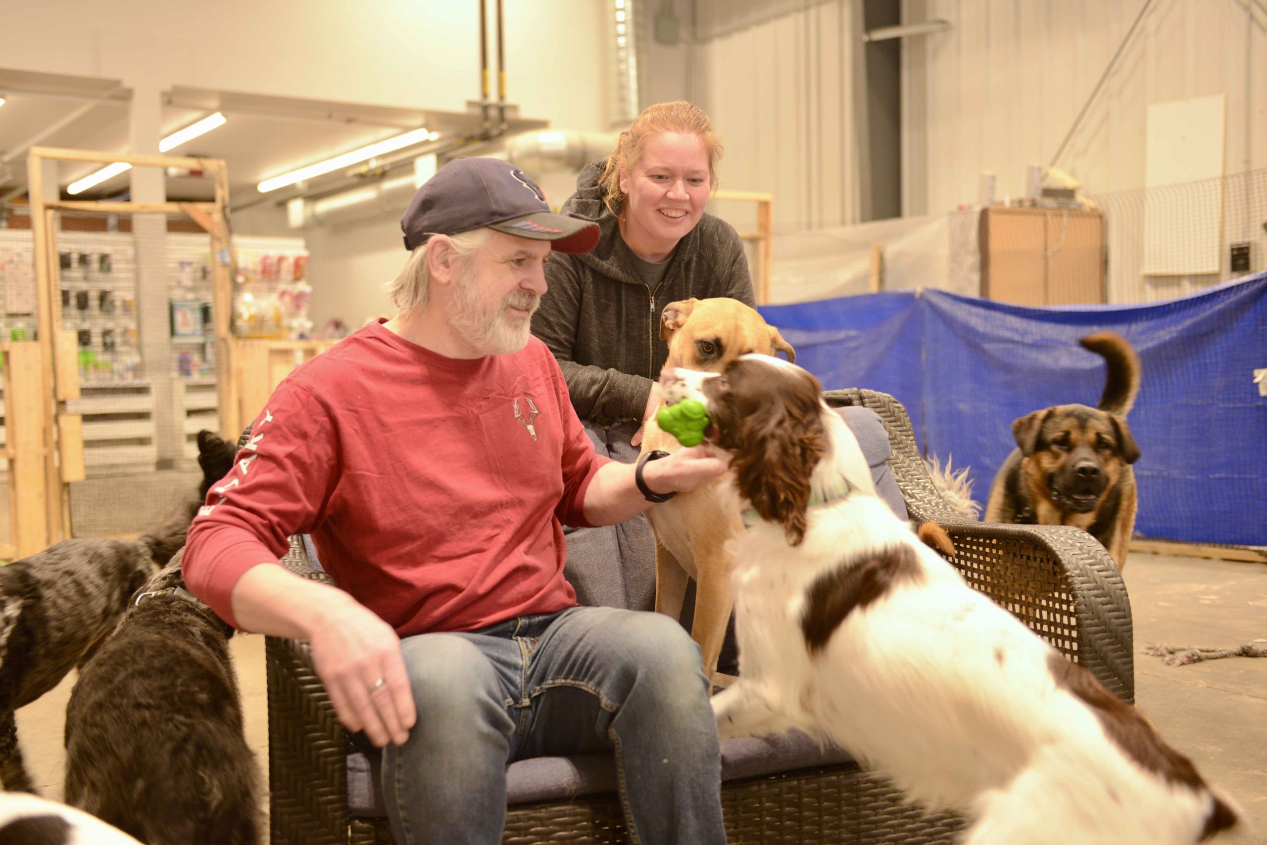 Jasper doggy daycare business a diamond in the ruff Jasper Local