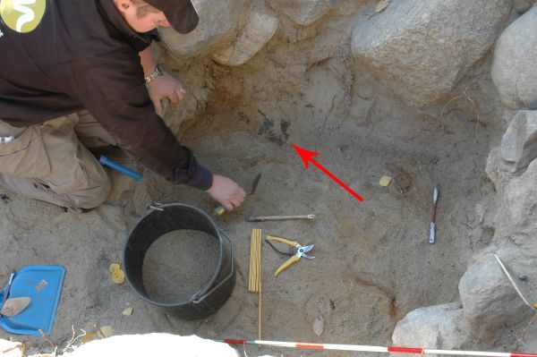 Bild 2. Arkeolog Ola George i färd med att undersöka graven. Kärlet syns vid pilen.