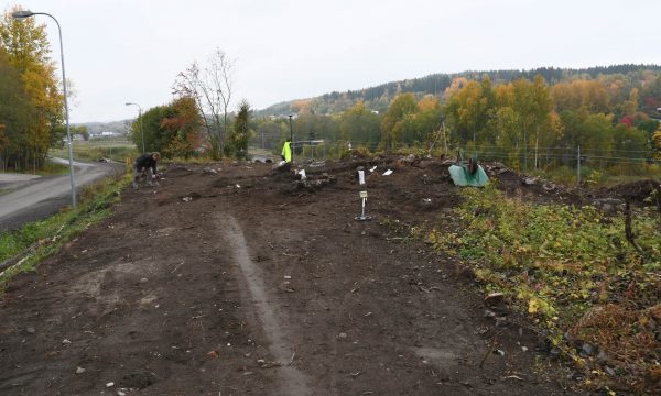 Bild 1. Området i början av undersökningen efter att ytan banats av med grävmaskin. 