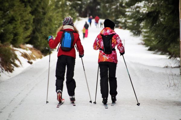 två personer som åker skidor