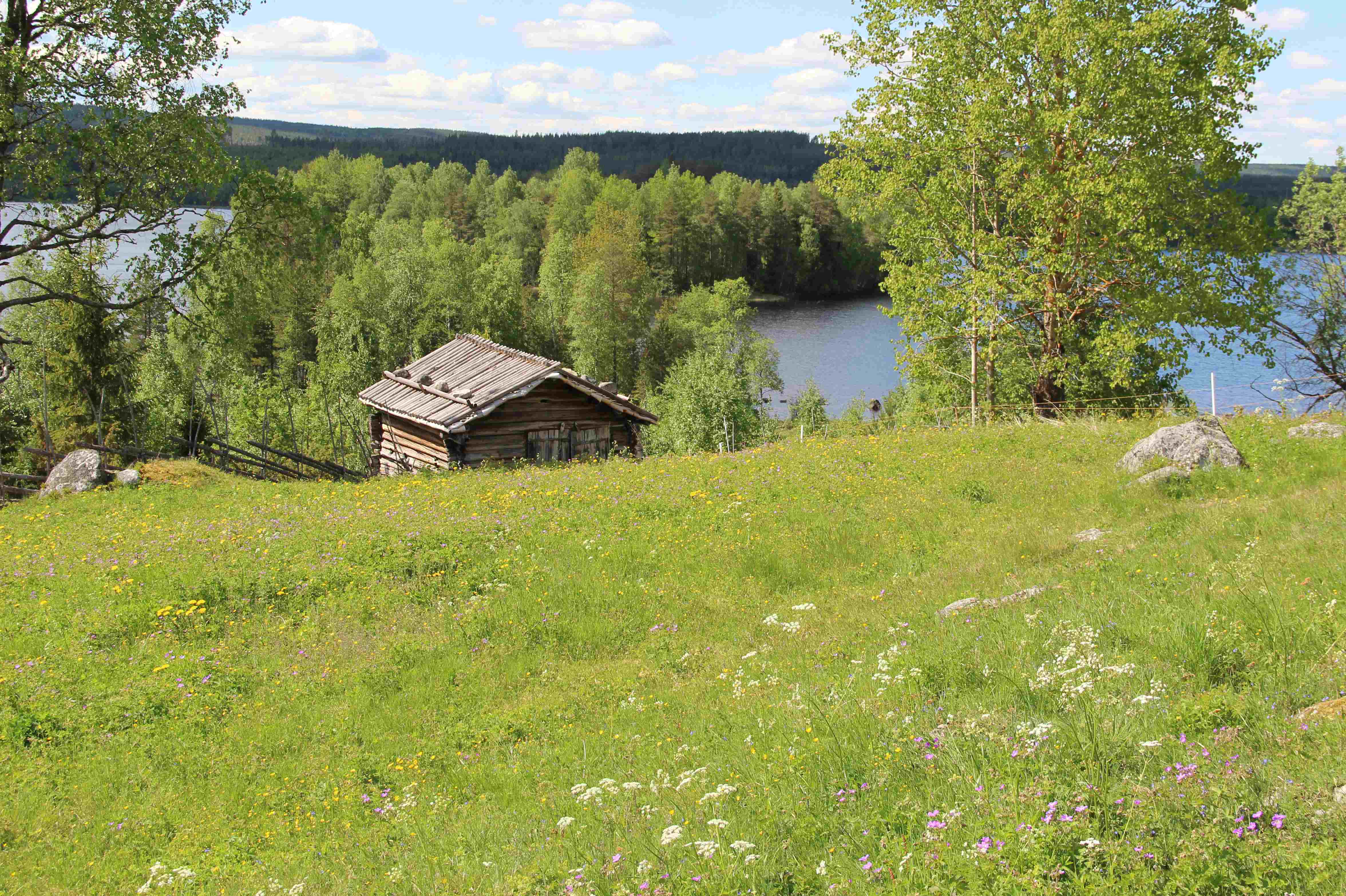 en sommaräng