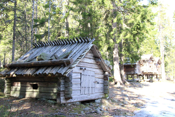 en timrad liten byggnad i skogsbrynet